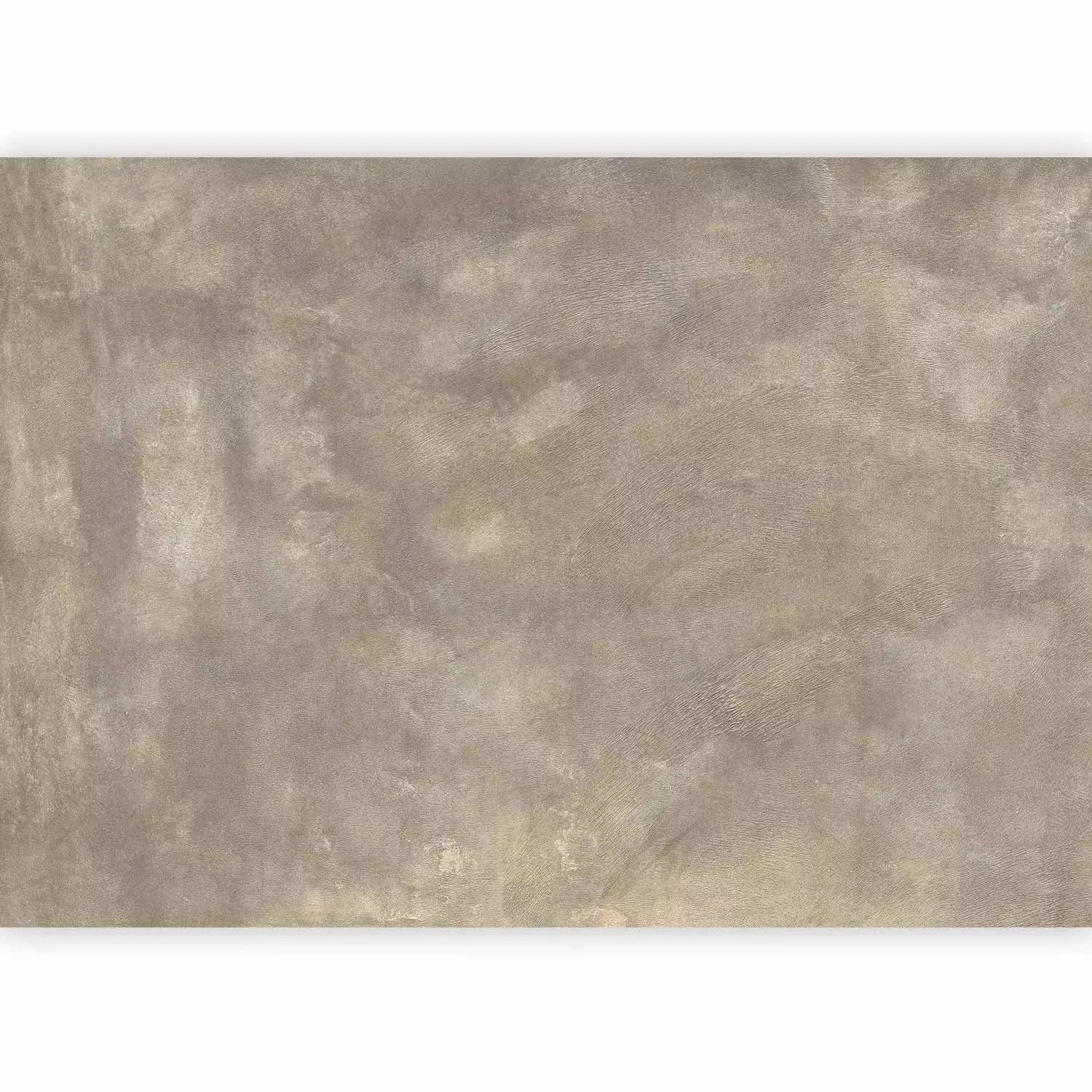 Fototapetes - neapstrādāta tekstūra nomierinošā krāsā: taupe G-ART