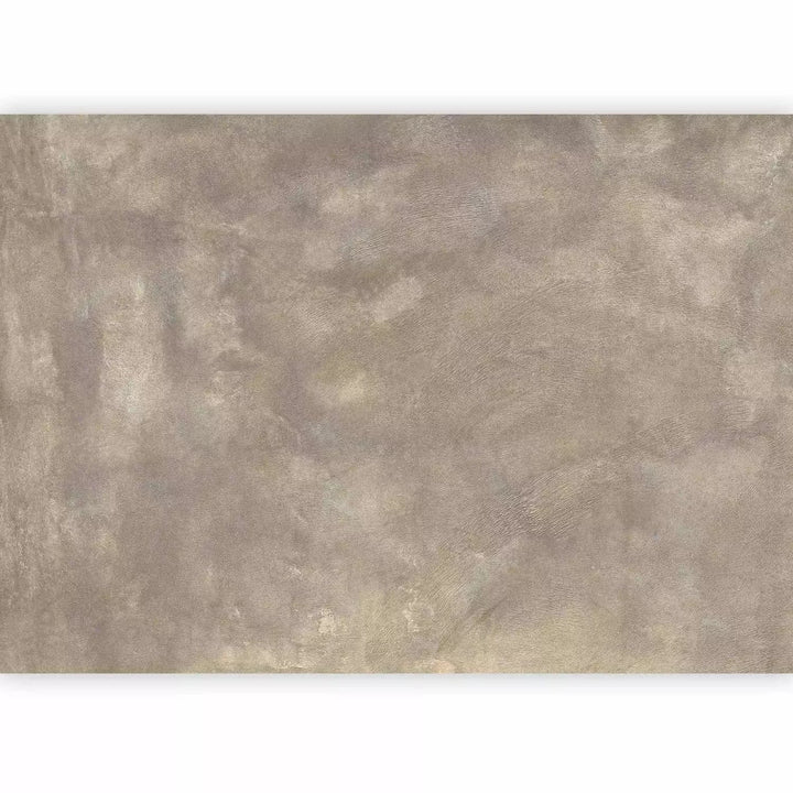 Fototapetes - neapstrādāta tekstūra nomierinošā krāsā: taupe G-ART