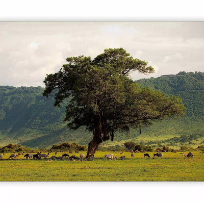 Fototapeet rohelise loodusega – Ngorongoro kraatris, 59947 G-ART