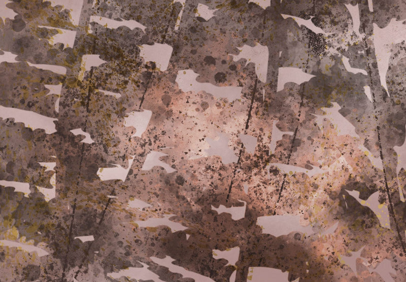 Fototapetes - Noslēpumainā paparde (rozā krāsā), 138452 G-ART
