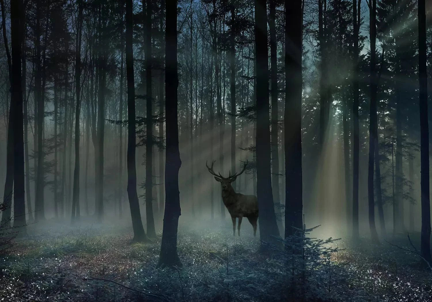 Fototapetes - Noslēpumainais mežs un briedis mistiskos zilos toņos  G-ART