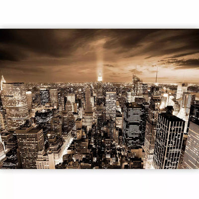 Wall Murals - Wall Murals with urban motifs. New York in brown, 61493G-ART