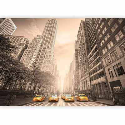 Wall Murals with New York taxis. Brown color - sepia, 61501 G-ART