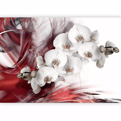 Fototapetai - Baltos orchidėjos su tamsiai raudonomis liepsnomis, 61876G-Art