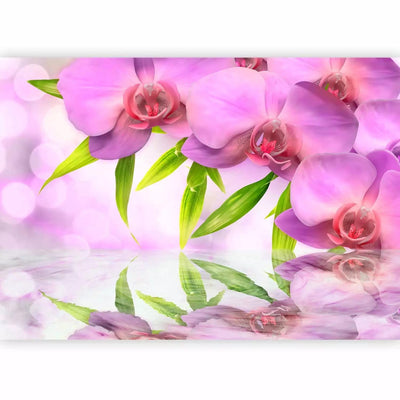 Ffototapets su gražiomis rožinėmis orchidėjomis ir nostalgiška ramybė, 60126 G-Art