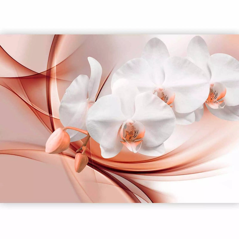 Wall Murals - white orchids on the background of pink abstract, 61840g-art