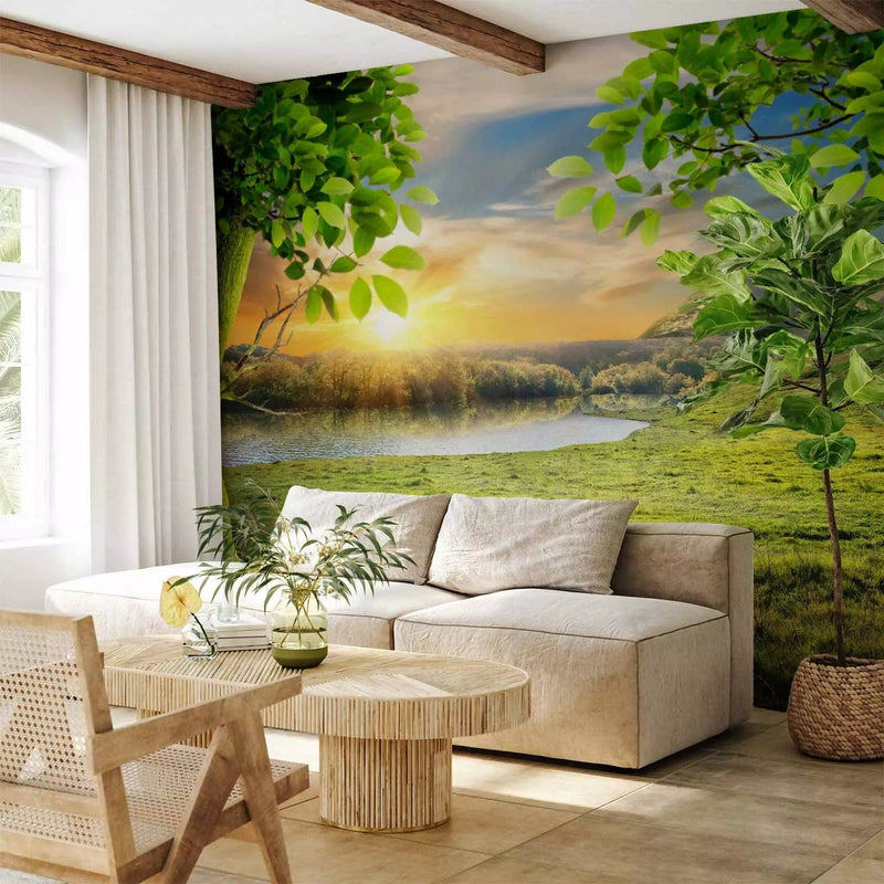 Wall Murals - landscape with trees against mountains and rising sun, 59778 G-ART