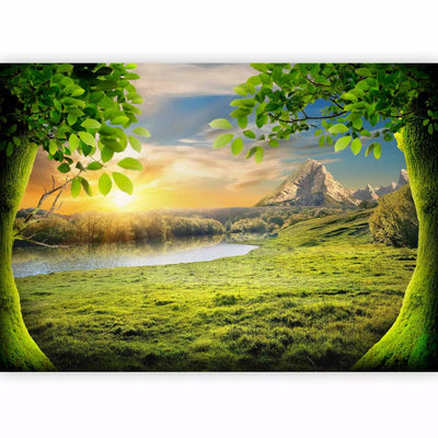 Fototapetes - ainava ar kokiem pret kalniem un uzlecošu sauli, 59778 G-ART