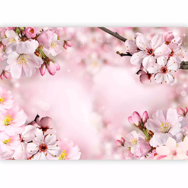 Wall Murals With spring flowers. Cherry flowers in pink color, 62327g-art