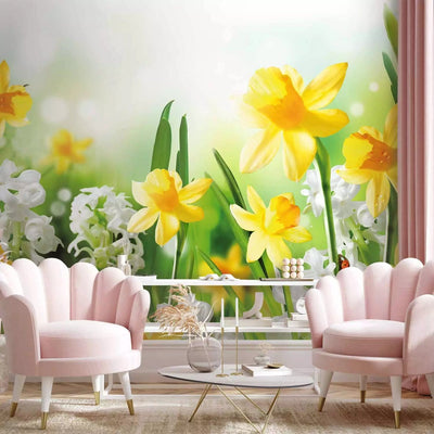 Wall Murals - Meadow with yellow and white daffodils on a vague background g-art