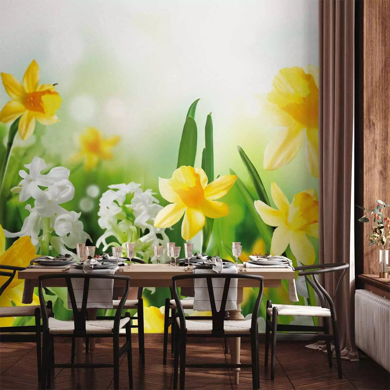 Wall Murals - Meadow with yellow and white daffodils on a vague background g-art