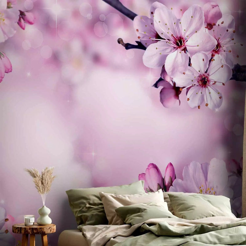 Spring - purple cherry flower composition on the background with light effect G -art