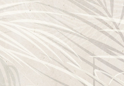 Fototapetes - Pelēkas palmu lapas uz gaiša fona, 148820 G-ART