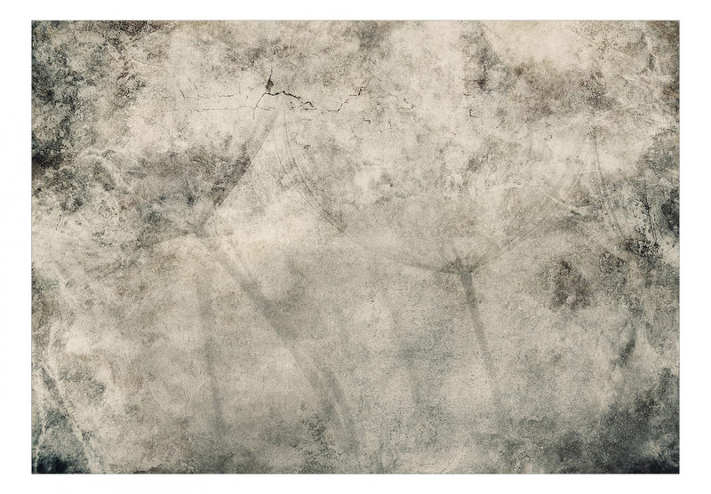 Fototapetes - Pelēkas pienenes, kompozīcija ar ziedu motīvu, 138471 G-ART