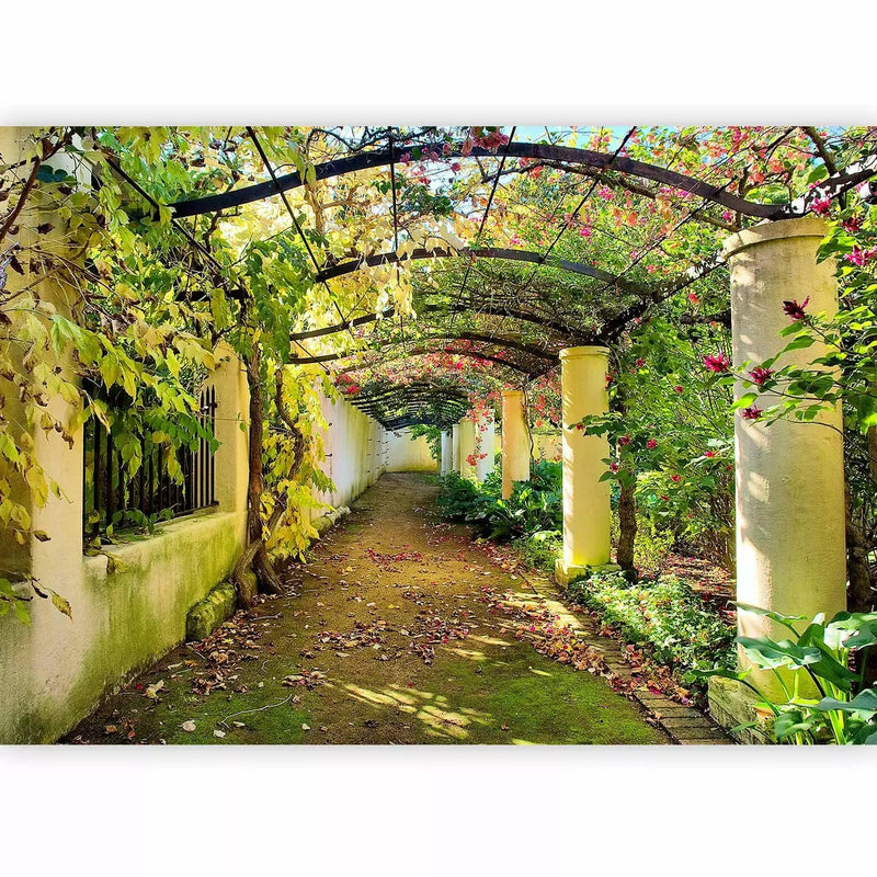 Wall Murals Arts element that forms a shady path - pergolag -art