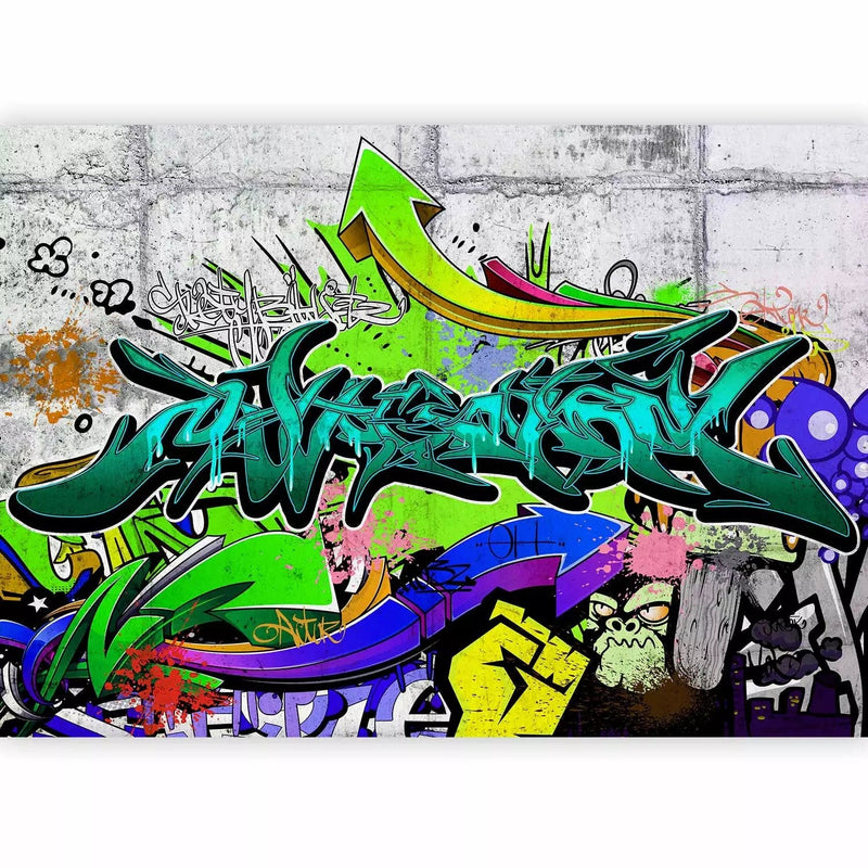 Wall Murals teenager - graffiti on a concrete background, 62458g -art