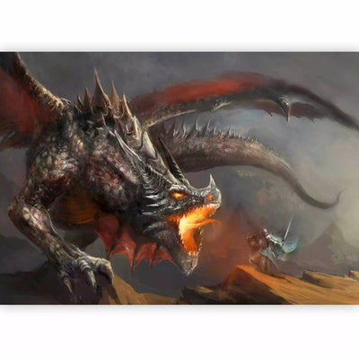 Wall Murals for a youth room in fantasy style - Dragon fire, 59719G-ART