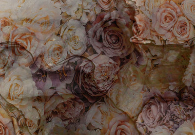 Fototapetes - Raksts ar rozēm abstraktos mākoņos, 138053 G-ART