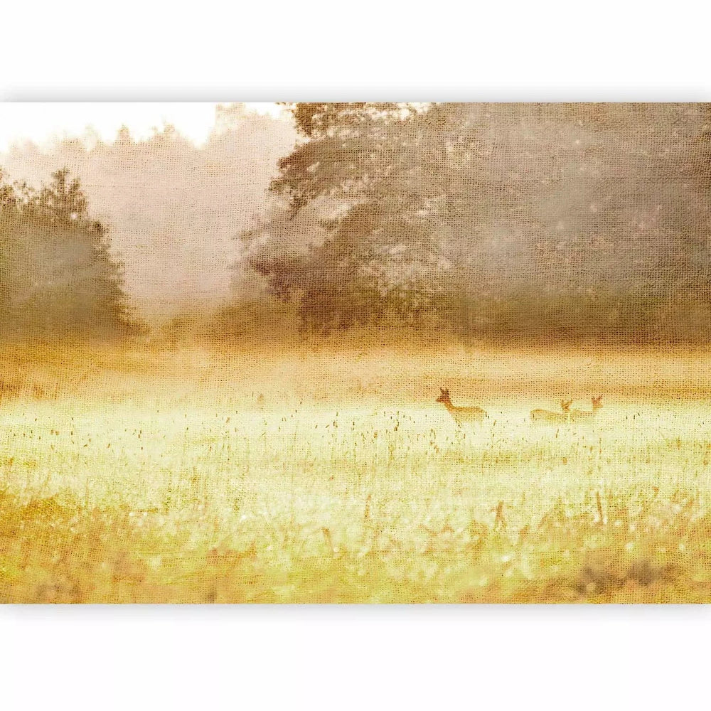Fototapetes - Rīta rasa – ainava ar dzīvniekiem uz zelta pļavas G-ART