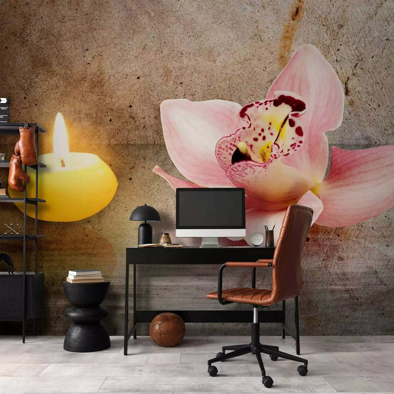 Beautiful Wall Murals with pink orchids and brown background, 60215 - buy G -art