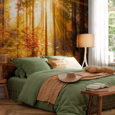 Beautiful Wall Murals with autumn forest - Autumn Awakening, 92895 G-ART