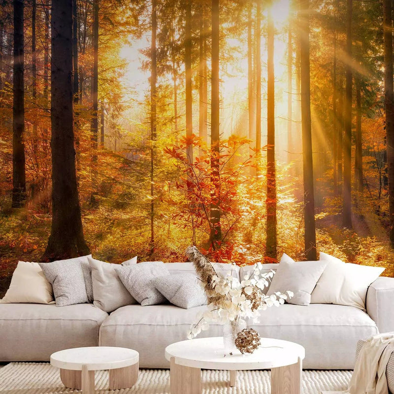 Beautiful Wall Murals with autumn forest - Autumn Awakening, 92895 G-ART