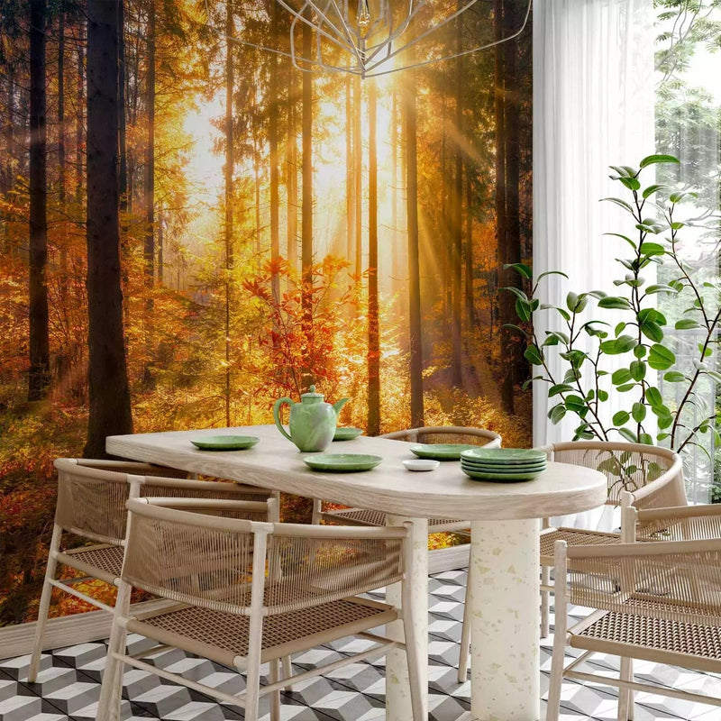 Beautiful Wall Murals with autumn forest - Autumn Awakening, 92895 G-ART