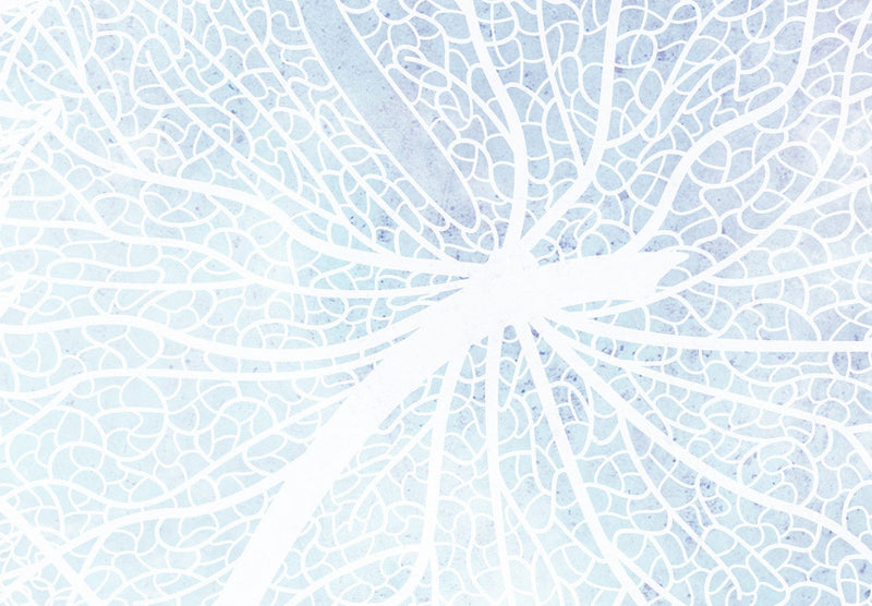 Fototapetes - Rudens daba zilā un baltā krāsā, 138617 G-ART