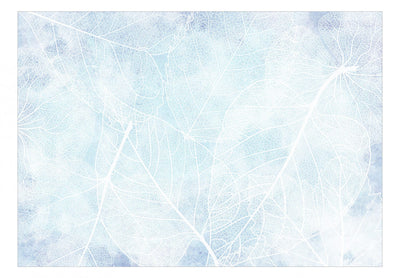 Fototapetes - Rudens daba zilā un baltā krāsā, 138617 G-ART
