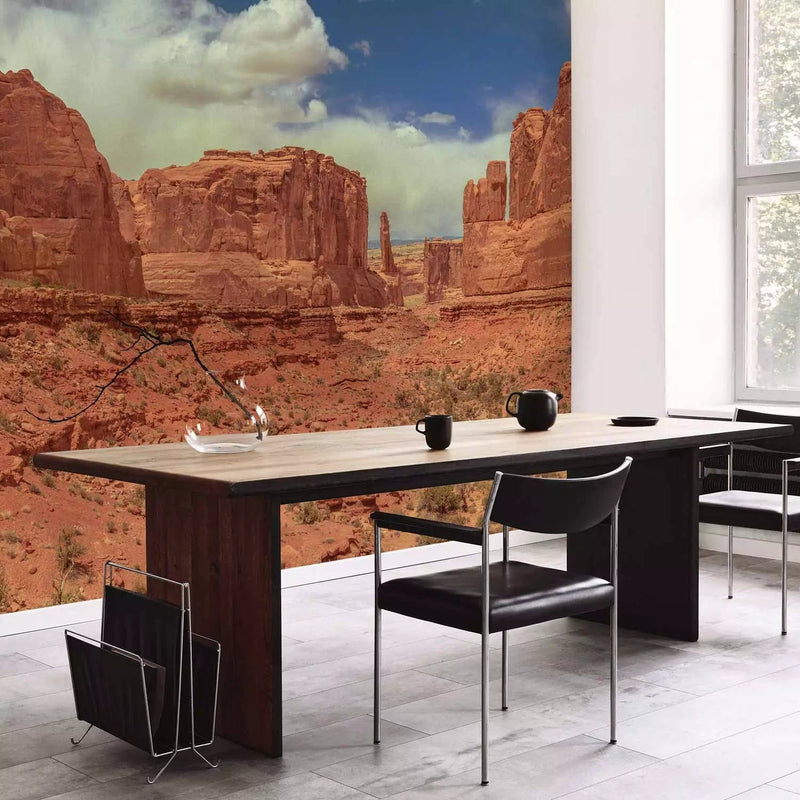 Wall Murals for office and office - Sarkanais kanjons, 160104 G-ART