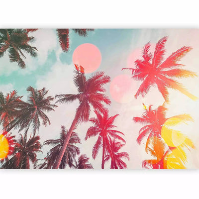 Wall Murals - Sunny palms - tropical leaves in colourful light - buy at G-ART