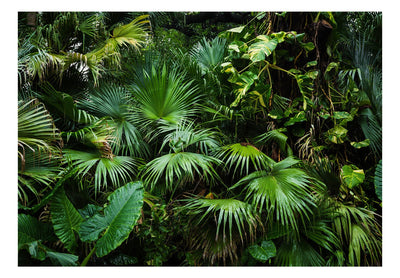 Fototapetes - Saulaini džungļi, 127066 G-ART