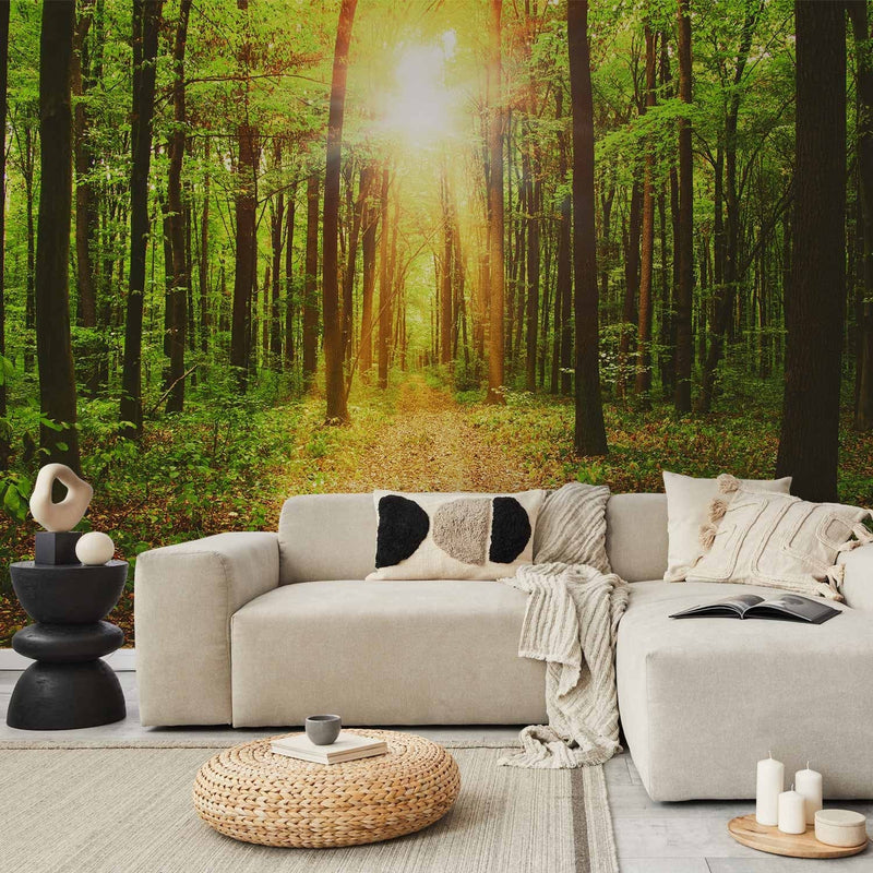 Valokuvatapetti - Auringonvalo - Maisema ja polku metsässä, 64597 G-ART