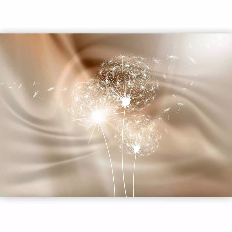 Wall Murals - White dandelions on a sophisticated background with sunlight G-art