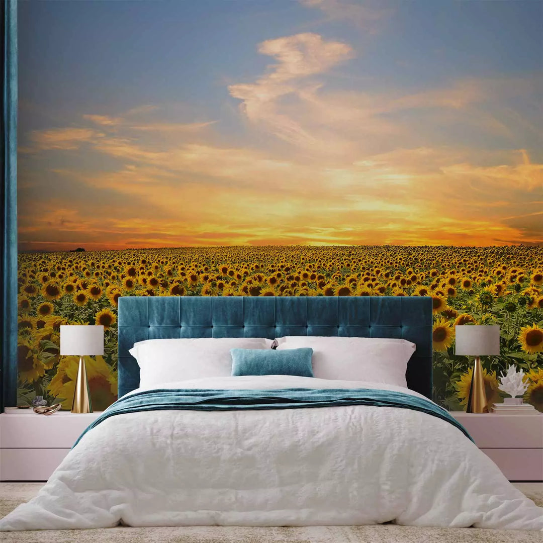 Fototapetes - Saulespuķu lauks saullēktā, dzeltena, zaļā krāsā G-ART