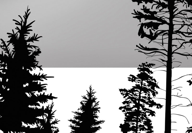 Fototapetes - Saulriets aiz kalniem (pelēkā un melnā krāsā), 142306 G-ART