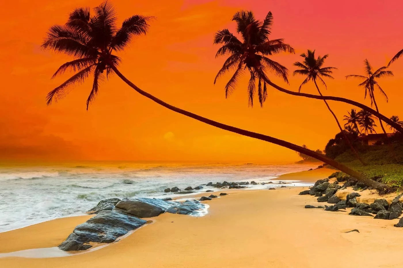 Fototapetes - Saulriets virs tropiskas jūras, oranžā krāsā, 375x250 cm D-ART