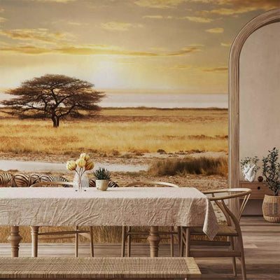 Wall Murals - Sunrise in Africa - zebras in the savannah by the tree waterhole G-ART