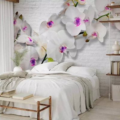 Wall Murals - Purple orchids with white brick wall, 61847 G-art