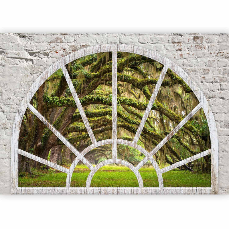 Valokuvatapetti - Ikkunanäkymä luontoon - vihreä metsämaisema, 62449 G-ART