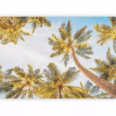 Wall Murals - view of palm tops and blue sky - 160119 G-ART