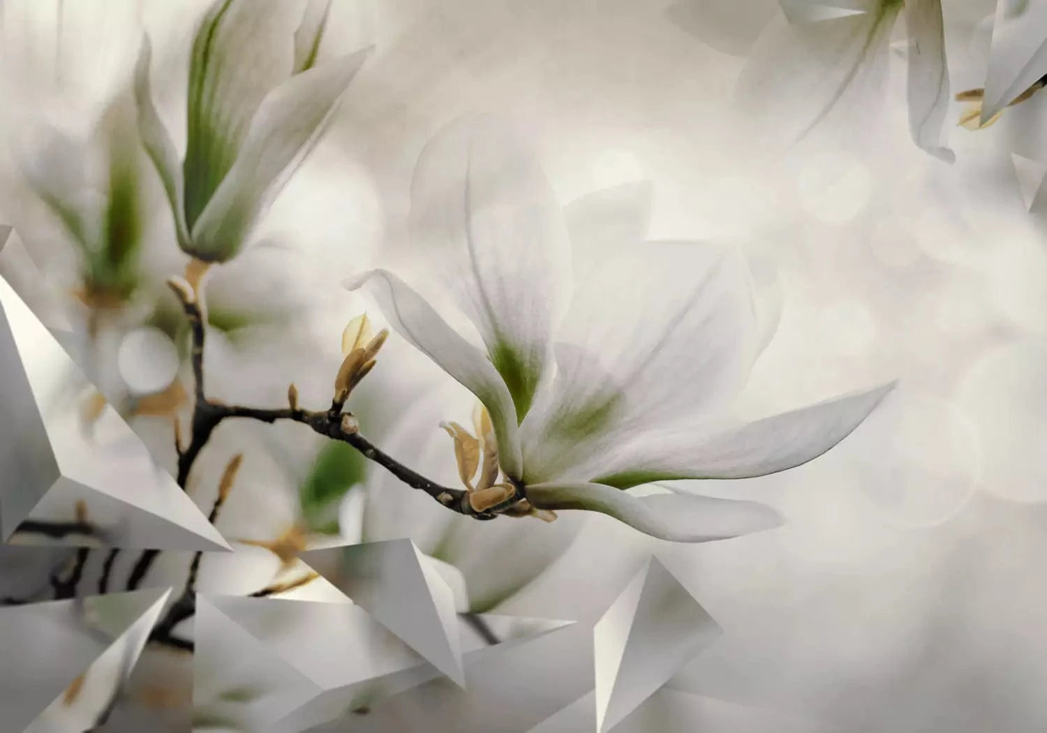 Fototapetes - Smalkās magnolijas (otrais variants) - viesistabai G-ART