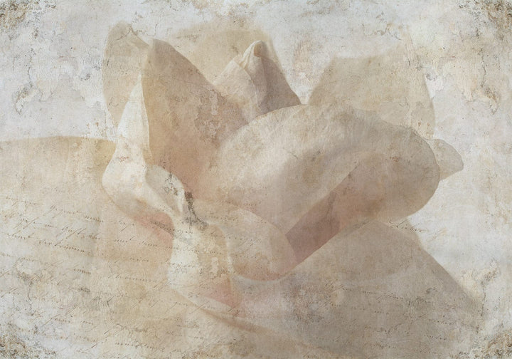 Fototapetes - smilškrāsas fons ar ziedu un uzrakstiem fonā | 148600 G-ART