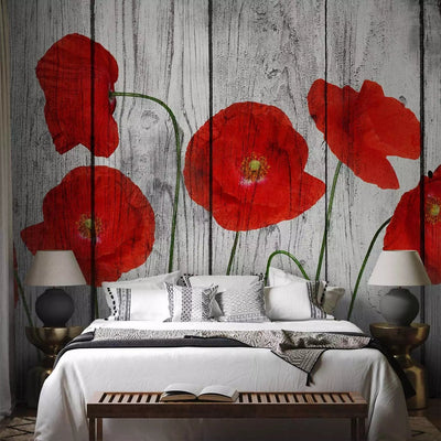 Wall Murals - red poppones on gray tree texture, 69973g-art