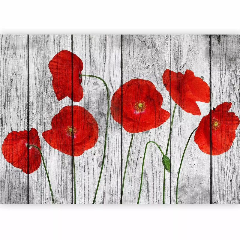 Wall Murals - red poppones on gray tree texture, 69973g-art