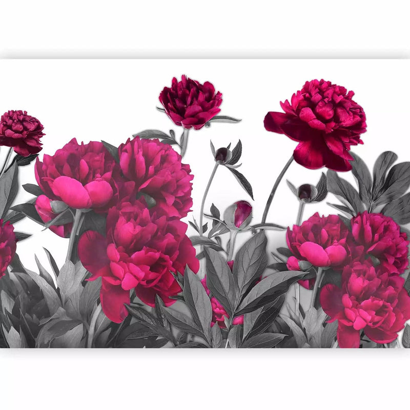 Beautiful Wall Murals with red flowers on a gray background, 60480 g-art