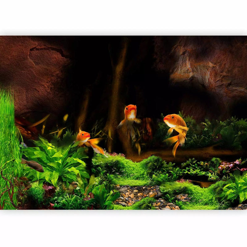 Fototapetes - Trīs zelta zivtiņas tumšā alā ar zaļu floru, 61264 G-ART