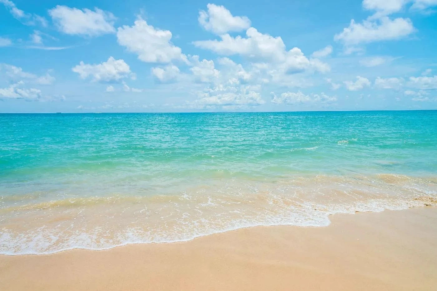 Fototapetes - Tropiskā pludmale un jūra, zilā krāsā, 375x250 cm D-ART