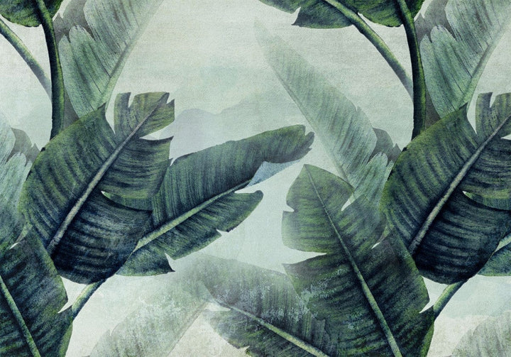 Fototapetes - Tropu lapas zaļā krāsā - 135975 G-ART