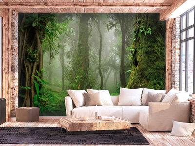 Fototapetes - Tropu mežs ar zaļumiem un miglu, 150970 G-ART